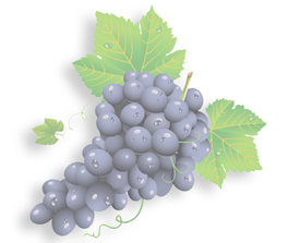 grapes